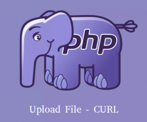 Upload file sử dụng CURL và PHP - VinaScript
