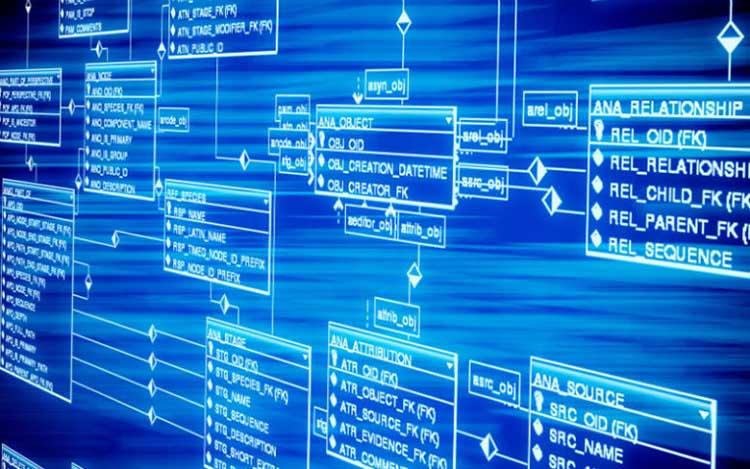 Database hỗ trợ lưu trữ dữ liệu trong máy tính