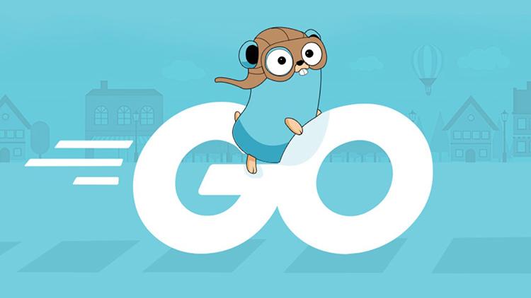 Con đường phát triển của Golang