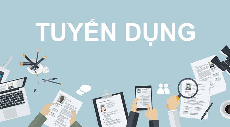 HR Manager quản lý việc tuyển dụng nhân sự cho công ty