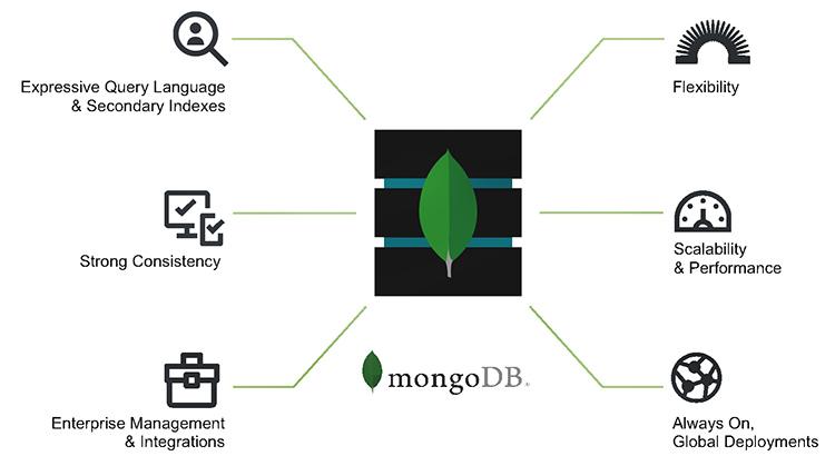 Mongo có vai trò vô cùng quan trọng