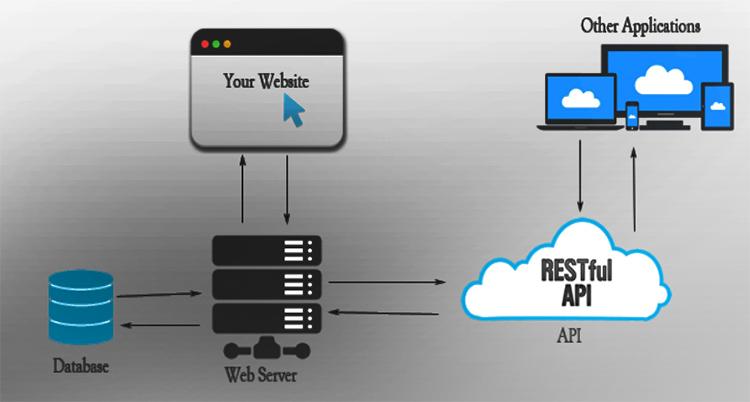 Restful API được sử dụng rất phổ biến