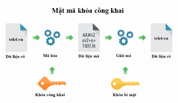 RSA sử dụng khóa công khai để mã hóa và khóa bí mật để giải mã